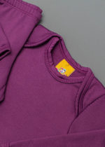 conjunto termico